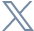 XING Icon